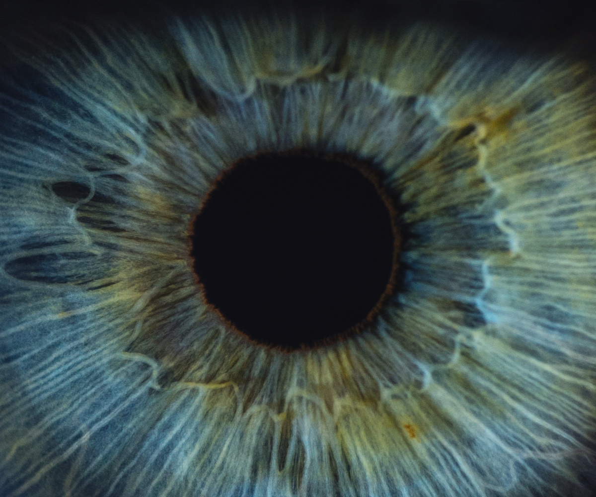 Detailed Macro Of Blue Woman Human Eye
